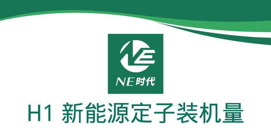 【NE数据】2024年H1乘用车电机定子：产能优势突出