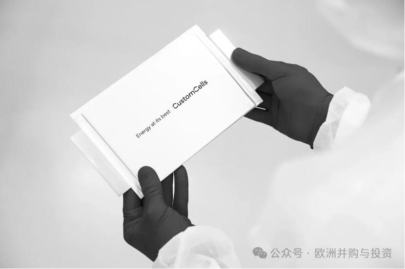 电池制造商CustomCells申请破产