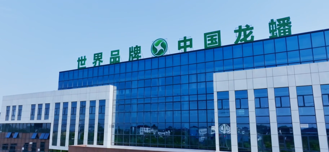 龙蟠科技与宁德时代签署60亿重磅订单，国际化战略迈出关键一步