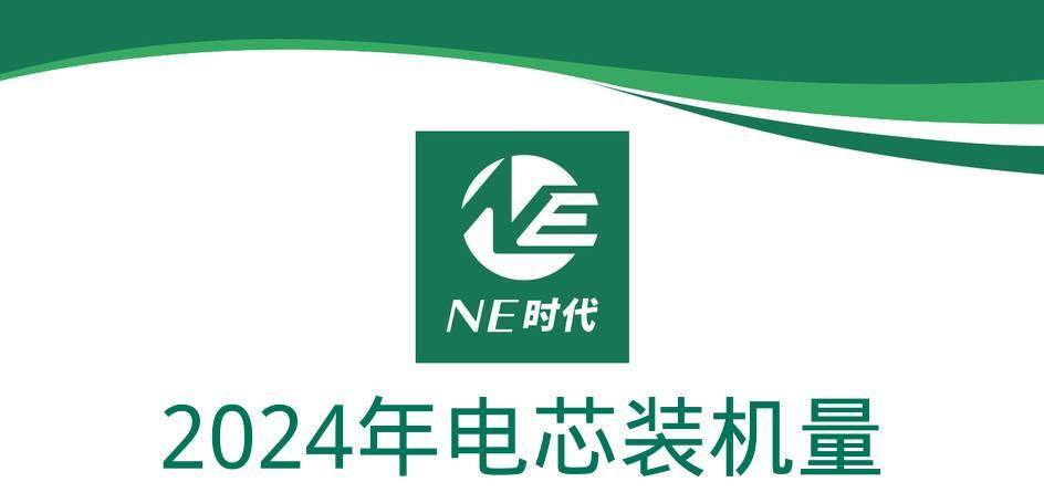 【NE数据】2024年乘用车动力电池及BMS装机量：增混大爆发，宁德时代/蜂巢/正力受益