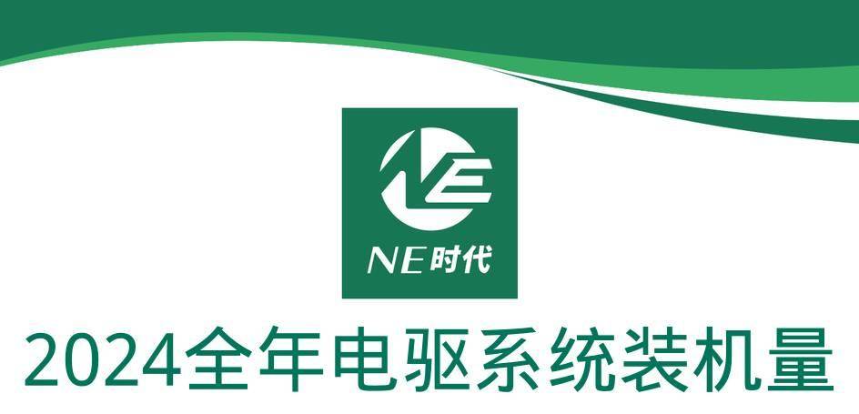 【NE数据】2024年乘用车电驱动、OBC装机量：新技术持续迭代，汇川冲击上市，代工产业链形成！