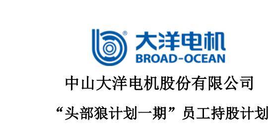 大洋电机员工持股计划 总人数不超过 77 人 计划募资总额不超过 1500 万元