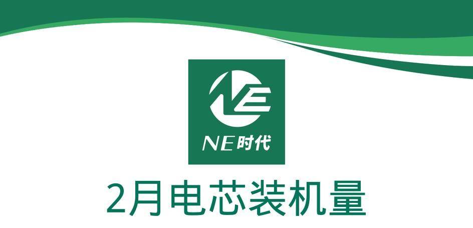 【NE数据】2025年2月乘用车电池/BMS装机量：一家“银河”，关系到蜂巢、国轩和闪聚的量