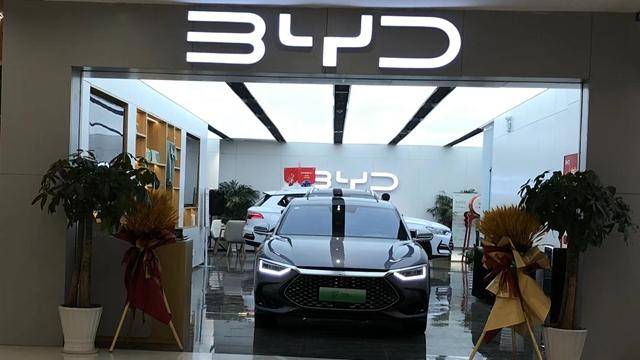 比亚迪2022年赚了多少钱？答案是166.22亿元