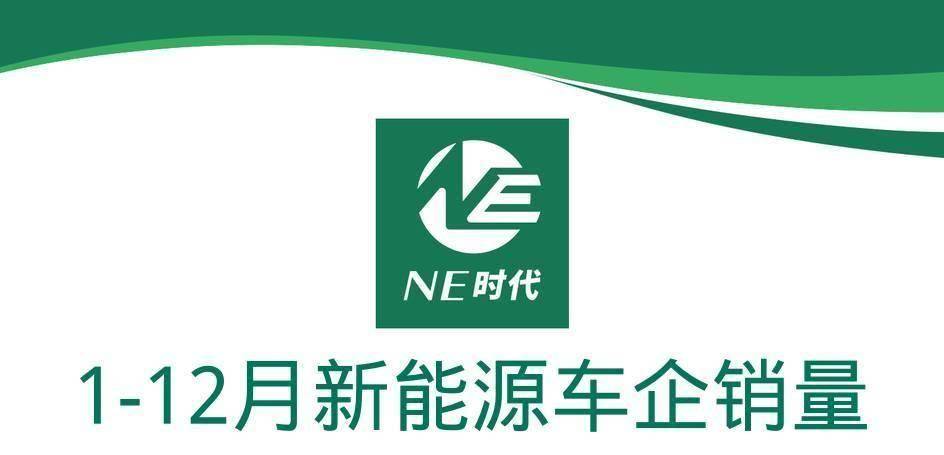 【NE数据】2023年新能源乘用车销量：比亚迪被围攻，蔚小理问界大乱斗