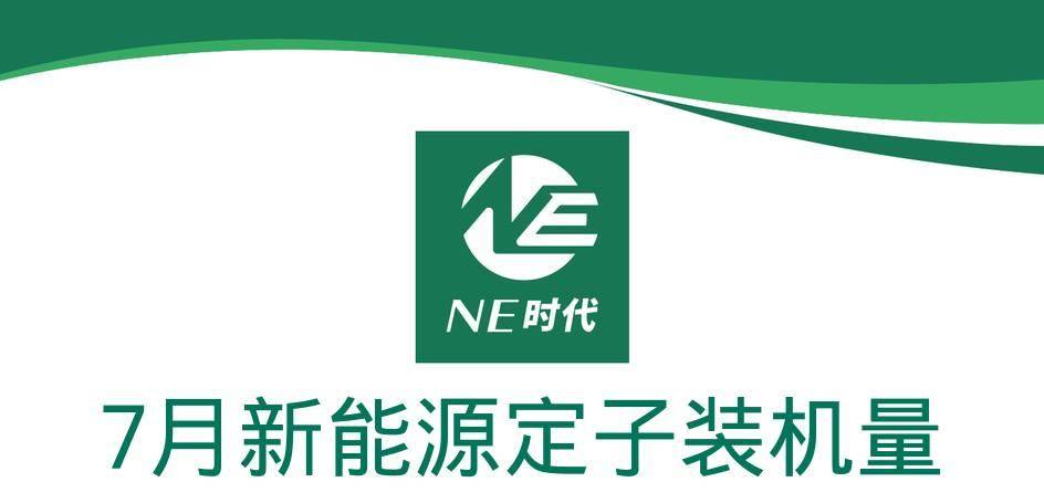 【NE数据】2024年7月乘用车电机定子：市场需求在不断扩大！