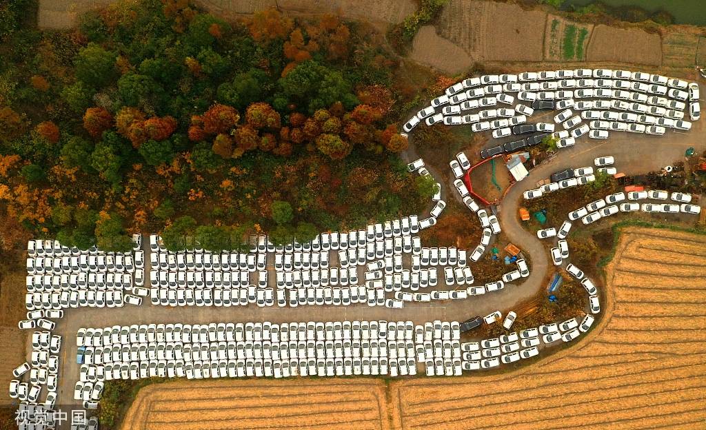 浙江嘉兴：千辆电动共享汽车被弃荒野 场面如“坟场”