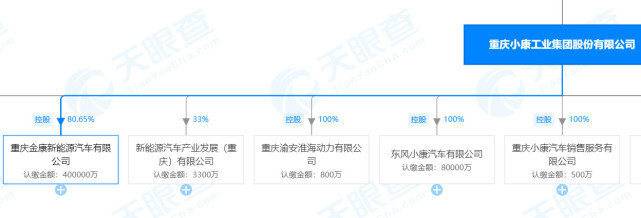 特斯拉，金康新能源,金康赛力斯,小康股份
